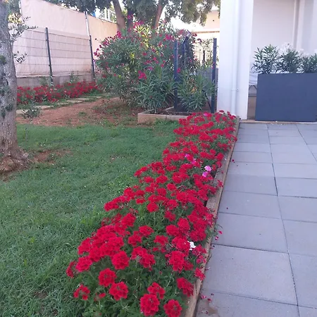 Studio & Conopeum Apartman